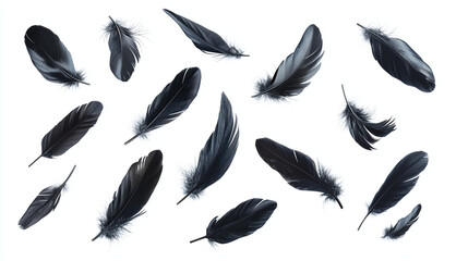 Abstract White Bird Feathers Falling in The Air. Floating Feathers. Softness of Feather, isolated on white background.	