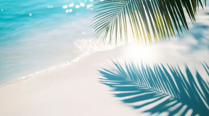 Fototapeta premium Tropical Beach with Palm Leaves Casting Shadow on Sand at Shore