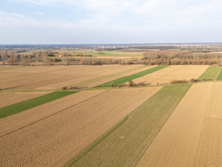 Fototapeta premium Vast agricultural fields with varying shades of green and brown stretch across the landscape, showcasing farmland under a bright sky in early spring.