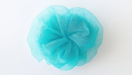 Light teal textured sponge