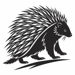 Obraz premium porcupine black silhouette icon vector