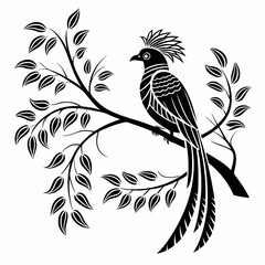 resplendent quetzal black silhouette vector