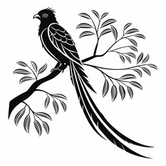 resplendent quetzal black silhouette vector