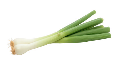 Fresh Green Onions Bunch Isolated on Black Background