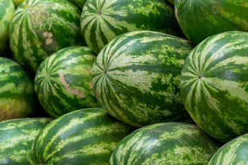 Piles of watermelons displayed in a market. Sample of fresh and ripe fruit.