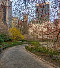 Gapstow Bridge in Central Park