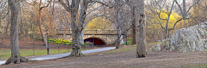 Central Park in spring