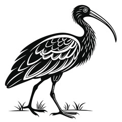Scarlet ibis black silhouette icon vector
