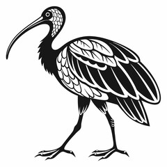 Scarlet ibis black silhouette icon vector