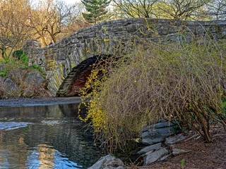 Gapstow Bridge in Central Park, early spring