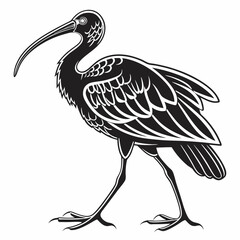 Fototapeta premium Scarlet ibis black silhouette icon vector