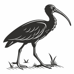 Scarlet ibis black silhouette icon vector