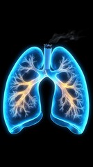 Smoking Damages Lungs XRay.