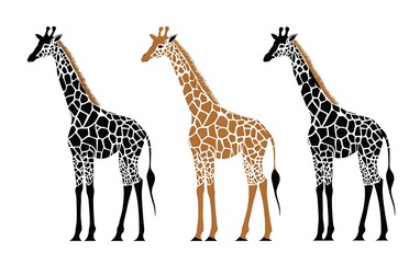 Three Giraffe Silhouettes with White Background.