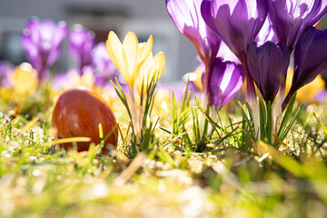 Fototapete bei efototapeten.de bestellen   