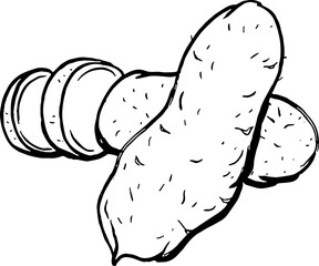 Yam. Vegetables. Hand drawn vector isolated sketch.
