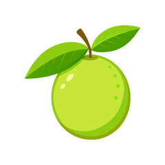 Vector illustration of a guava on a white background