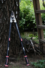 Heavy-Duty Garden Lopper for Tree Pruning&ndash; Extendable Branch Cutter in Rustic Backyard Setting - edit