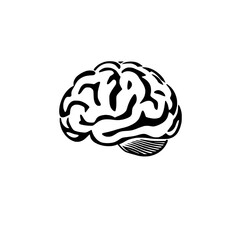 Vector illustration of human brain