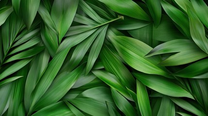 Obraz premium Lush green leaves natural environment nature photography close-up view botanical beauty