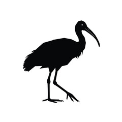 Ibis Bird Black Silhouette A