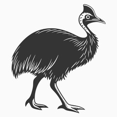 Fototapeta premium Cassowary silhouette black vector