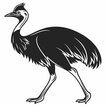 recommend clip art: Cassowary silhouette black vector
