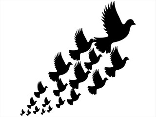 dove of peace