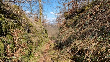 bewaldete Passhöhe, Altstraße Hohlweg „Große Egge