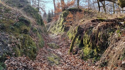 bewaldete Passhöhe, Altstraße Hohlweg „Große Egge