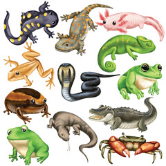 Obraz premium Watercolor Reptile and Amphibian Illustration Set Hand Painted Salamander Cobra Frog Chameleon Gecko Lizard Crocodile Toad Axolotl Artistic Wildlife Nature Art