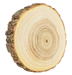 Obraz premium Round piece of wood in cross section isolated on a white background. Wood texture pattern.