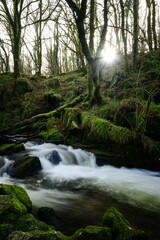 Waterfall in the forest, Goliath falls, Cornwall. 