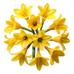 Vibrant Yellow Flowers A Stunning Floral Arrangement