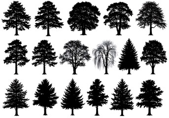 A collection of majestic tree silhouettes showcasing diverse species in a stark, graphic style against a pure white backdrop.
