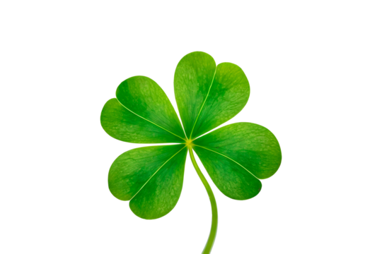 four leaf clover
