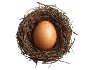 Nest with egg isolated on transparent background