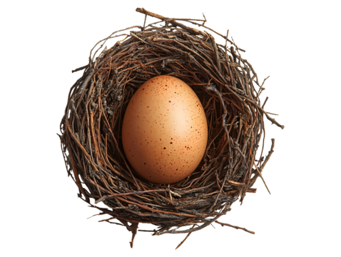Nest with egg isolated on transparent background