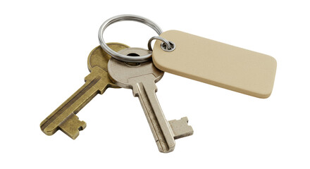 Isolated Key Ring with Blank Tag for Identification