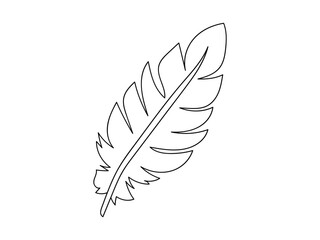 Fototapeta premium Black Outline of Feather with Detailed Pattern isolated on White Background. Concept of Nature Art, Minimalist Design, Bird Symbol, Graphic Illustration, Decorative Element