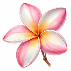 Naklejka premium Peach Blossom A Delicate Bloom