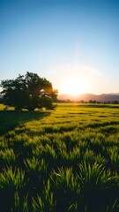 Dawn Serenity in a Vibrant Field