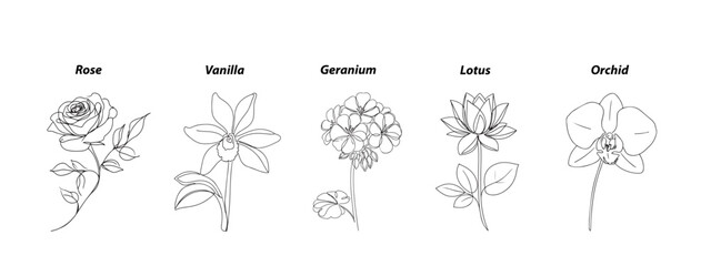 Elementos Hogareños III: Flores
