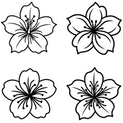 Obraz premium Black and white floral set with flowers leaves and decorative elements