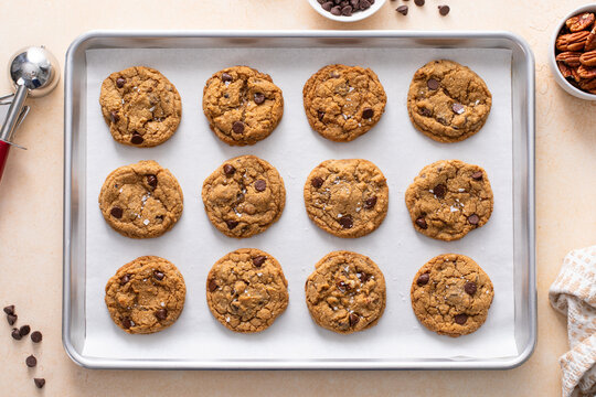 Chocolate chip cookies with pecan nuts, freshly baked cookies on a baking sheet