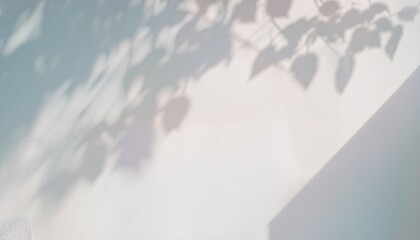  high-resolution abstract image of soft natural tree leaves casting delicate shadows on a white wall background. The organic shapes create a calming, minimalist aesthetic with subtle variations in lig