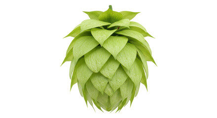 Isolated Hop Cone