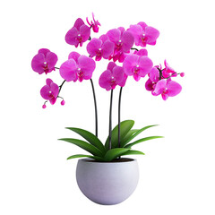A 3D Decorative Orchid Plant with Bright Pink Flower Isolated on Transparent Background