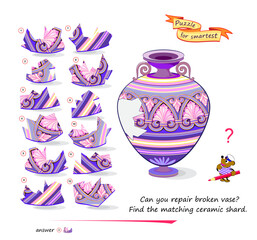 Can you repair broken vase? Find the matching ceramic shard. Logic puzzle game for smartest. Page for kids brain teaser book. Developing spatial thinking. Flat vector illustration.