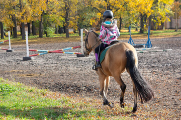 Female horseback rider in training show jumping